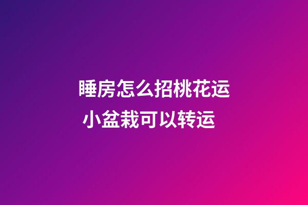 睡房怎么招桃花运 小盆栽可以转运